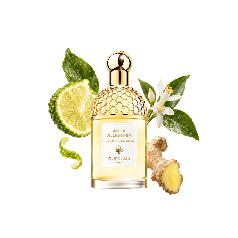 Aqua Allegoria Bergamote Calabria by Guerlain, bottle pictured with its key notes: Calabrian Bergamot, Petitgrain and Ginger