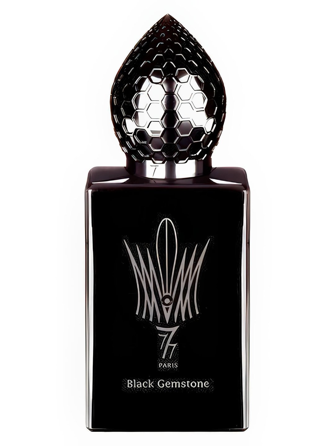 Black Gemstone by Stéphane Humbert Lucas 777