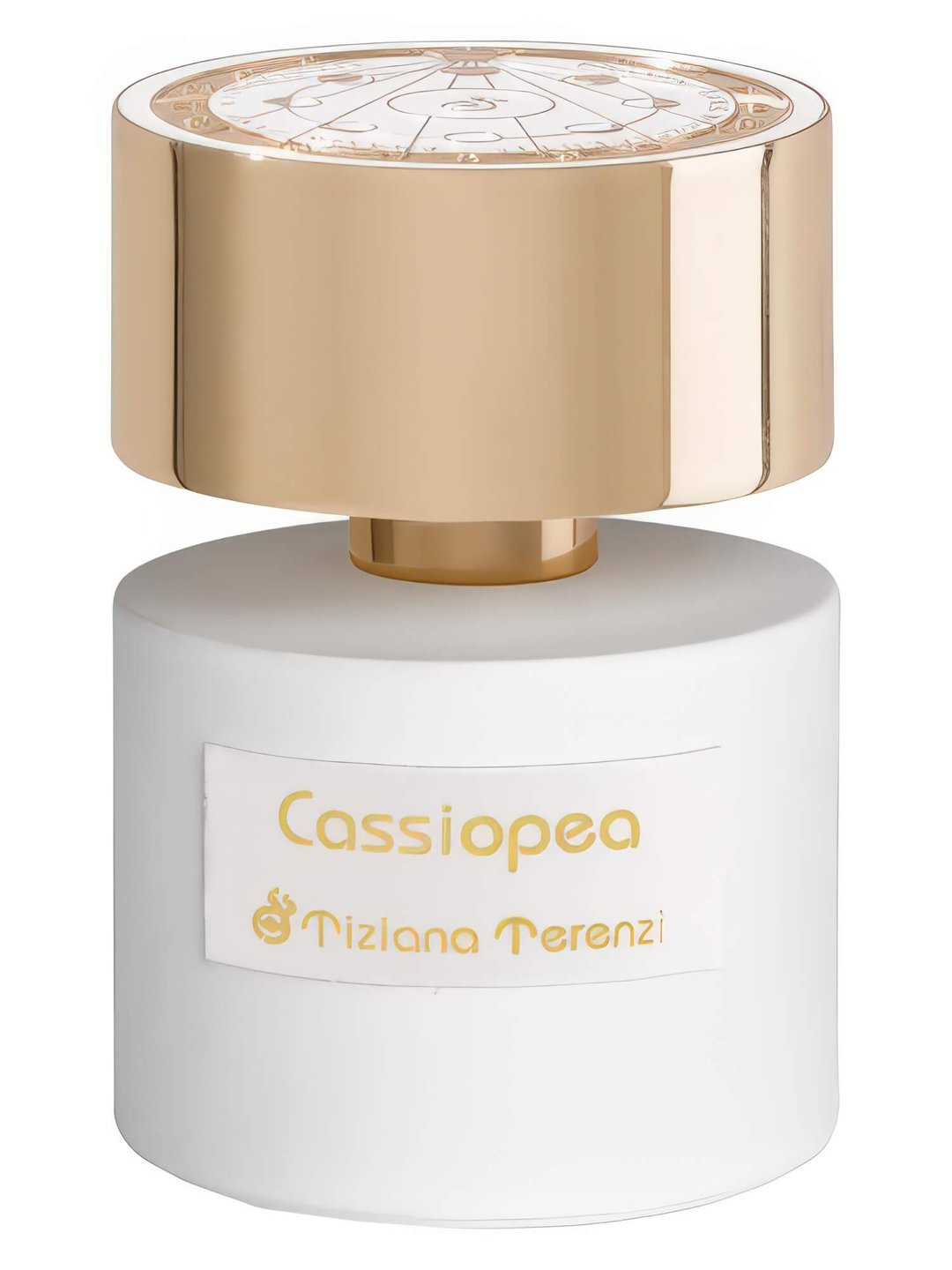 Cassiopea by Tiziana Terenzi