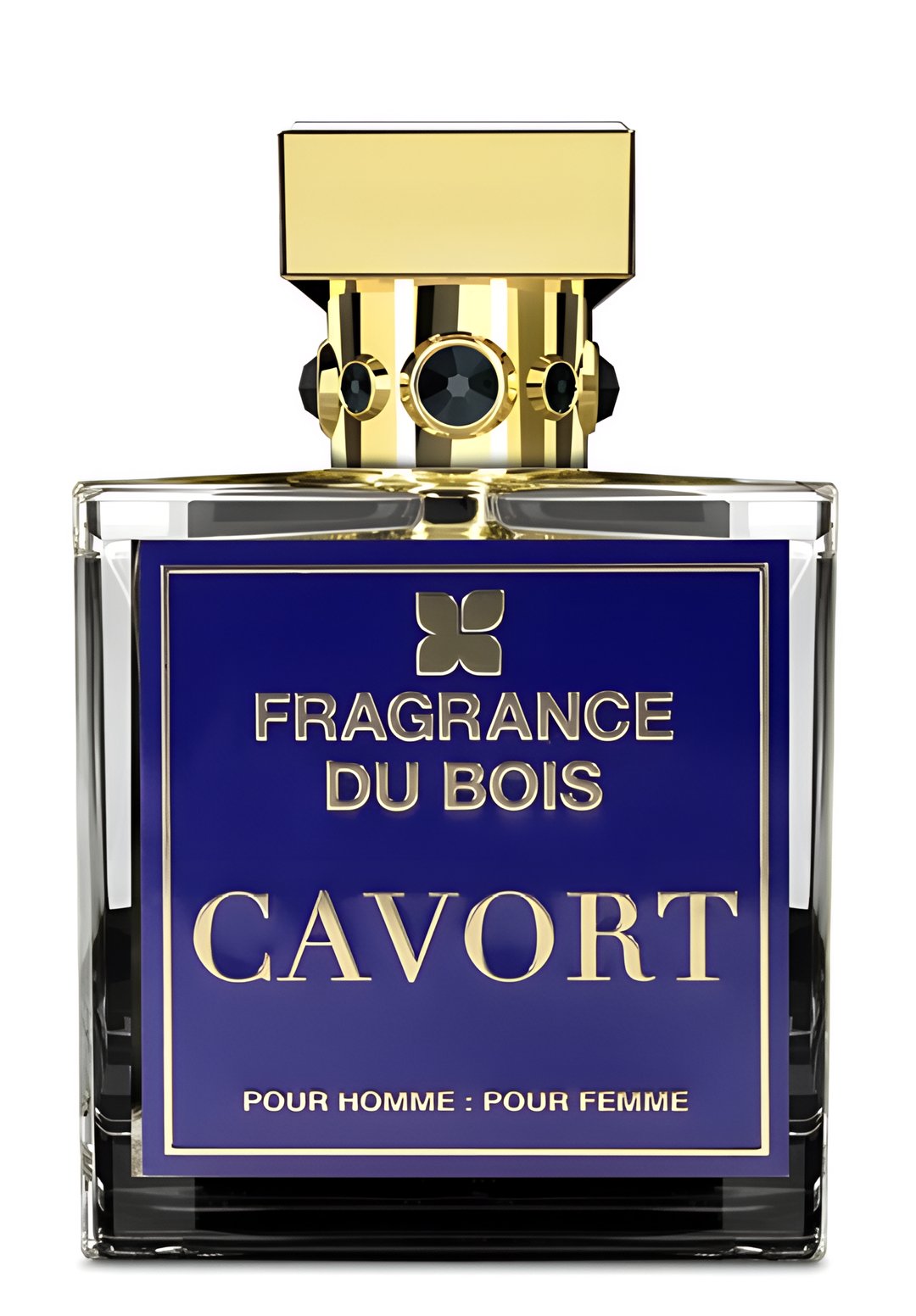 Cavort by Fragrance Du Bois