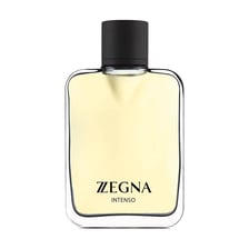 Ermenegildo Zegna Zegna Intenso