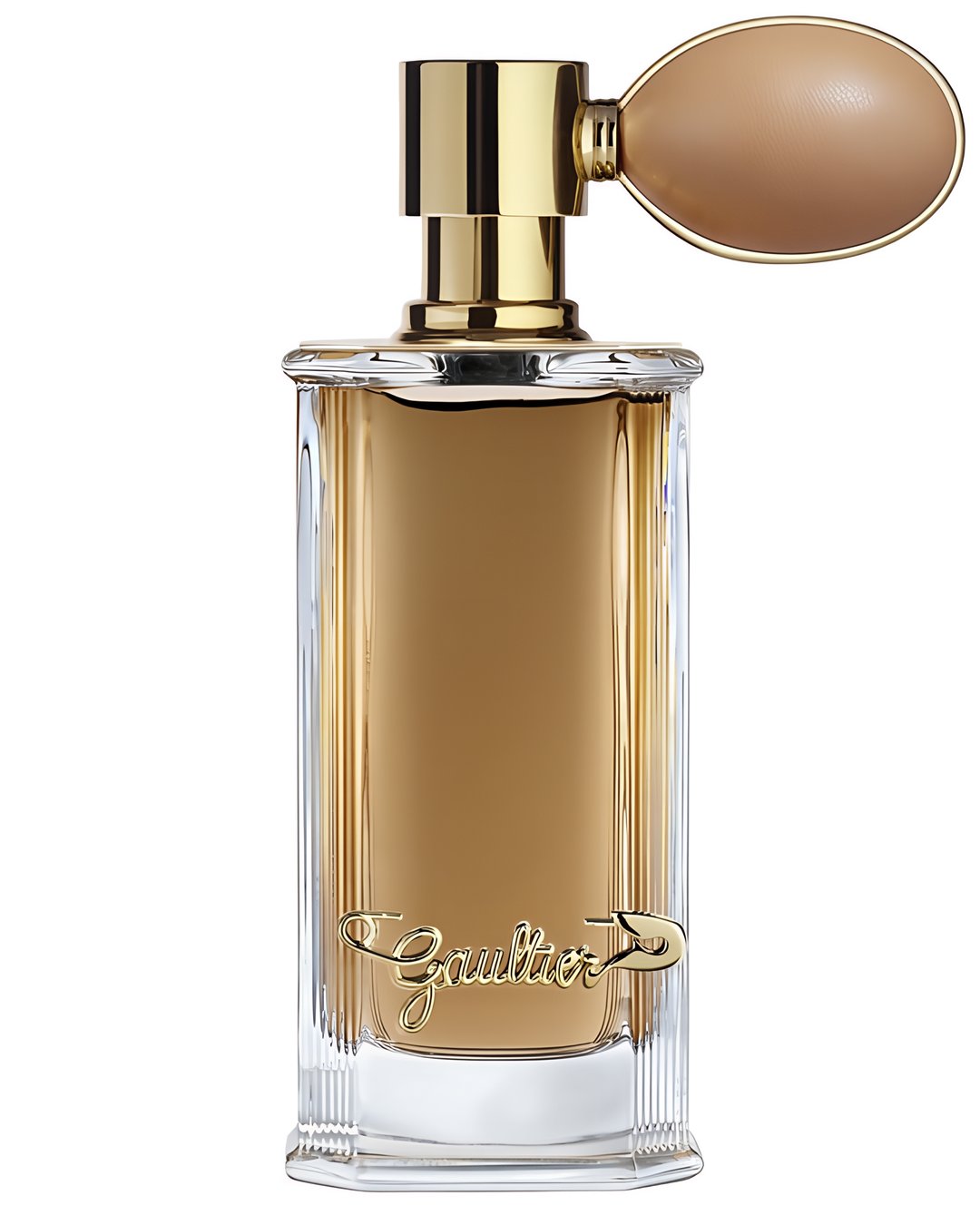 Cuir 1976 by Jean Paul Gaultier