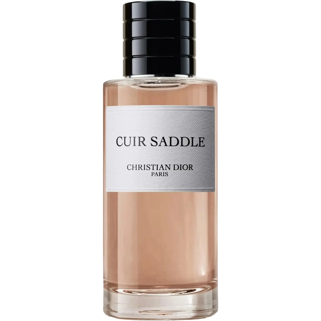 Cuir Saddle by Dior