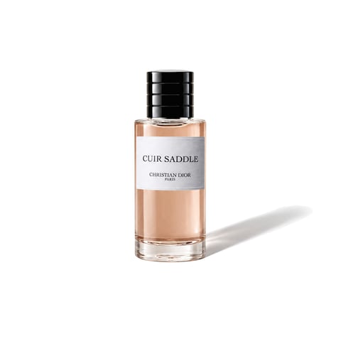 Dior Cuir Saddle decant