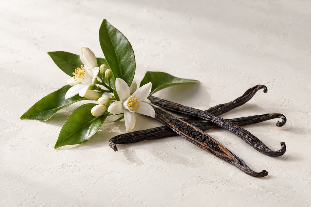 Orange blossom and vanilla as raw materials: notes of By the Fireplace by Maison Margiela