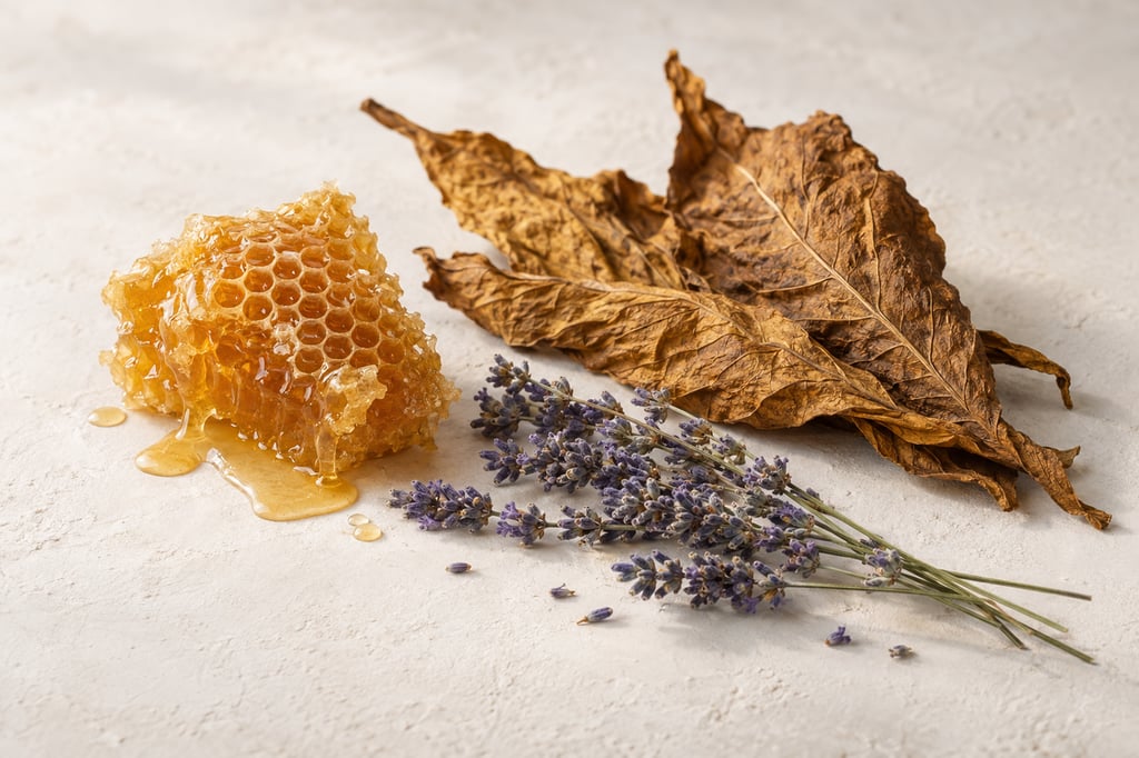 Miele, foglia di tabacco e lavanda come materie prime: note di XJ 1861 Naxos di Xerjoff