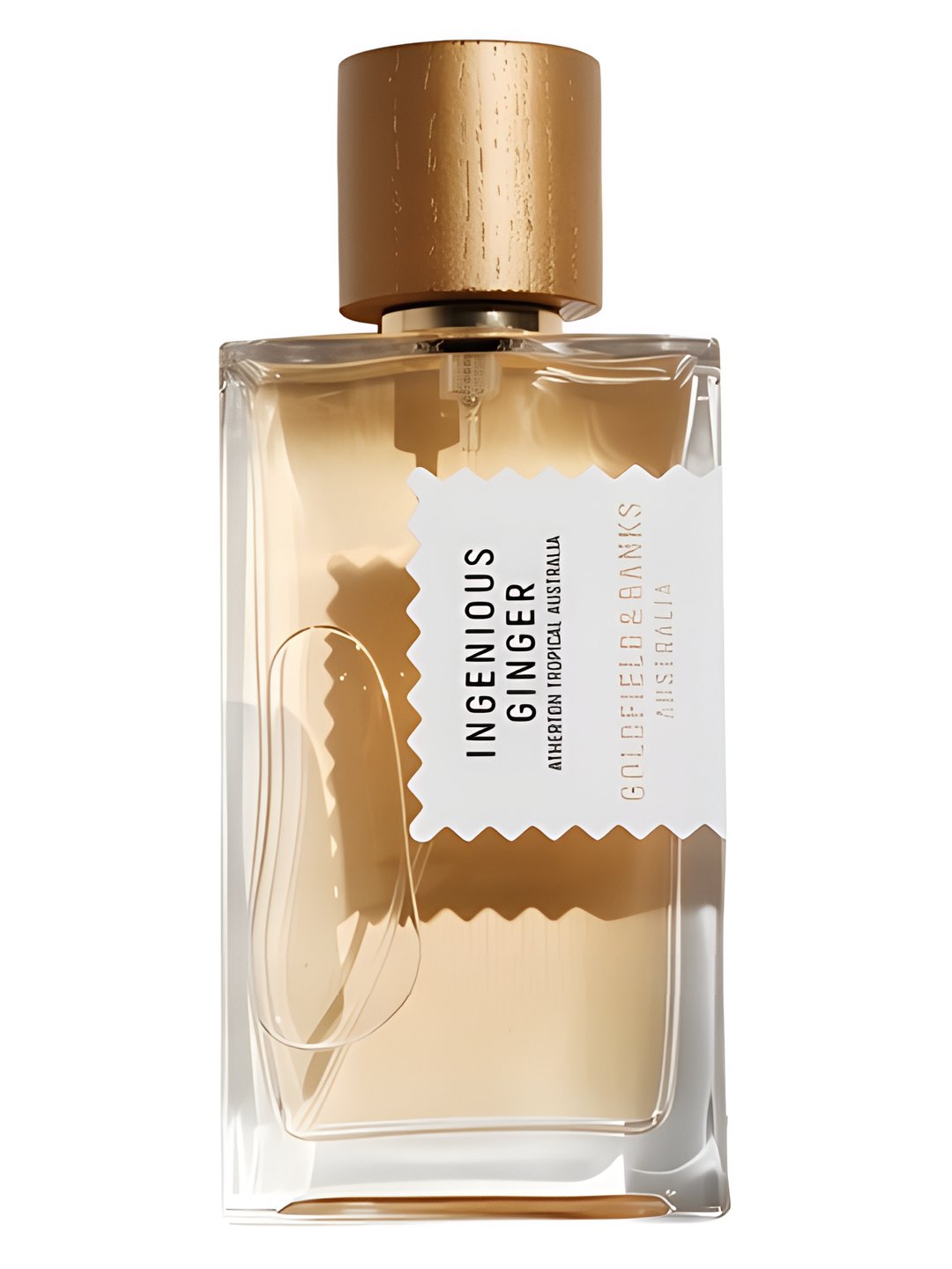 Ingenious Ginger by Goldfield & Banks