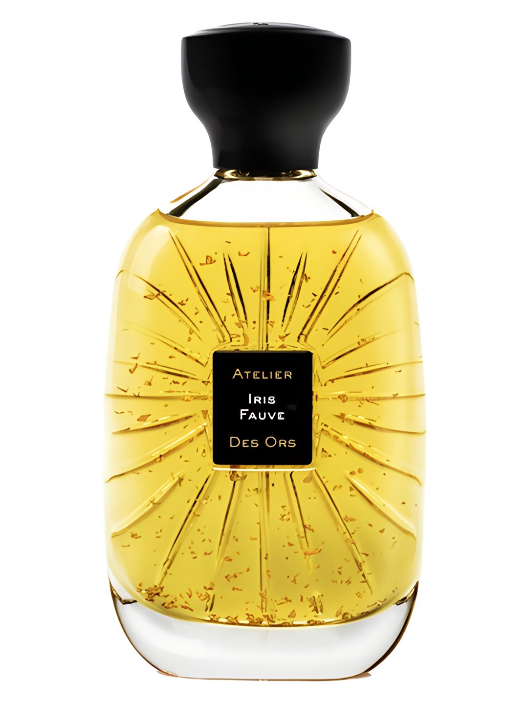 Iris Fauve by Atelier des Ors