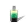 Ex Vetiver