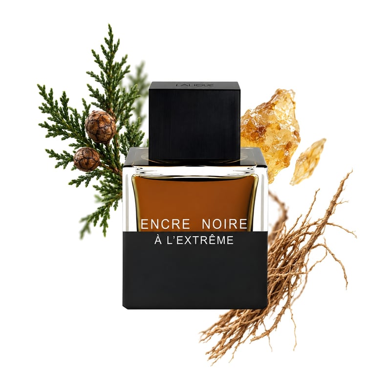 Encre Noire À l'Extrême by Lalique, bottle pictured with its key notes: Cypress, Elemi Resin and Haitian Vetiver