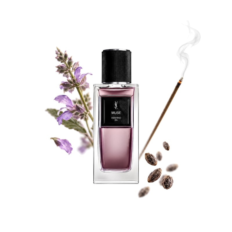 Muse by Yves Saint Laurent, bottle pictured with its key notes: Clary Sage, Incense and Ambrette