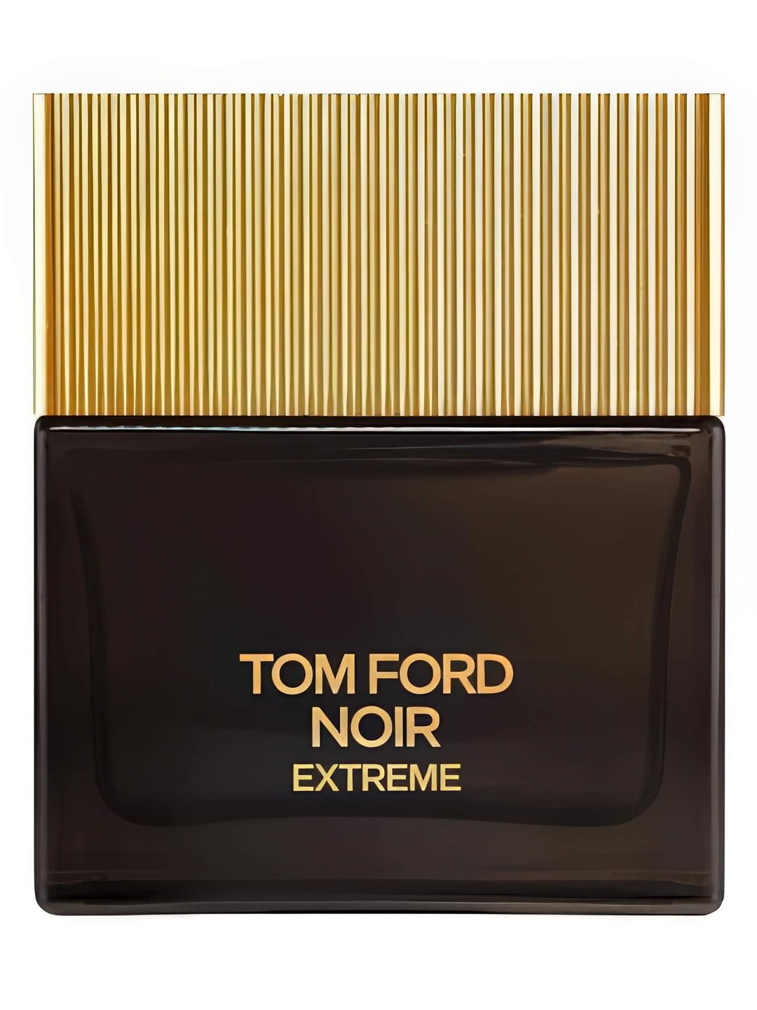 Noir Extreme by Tom Ford