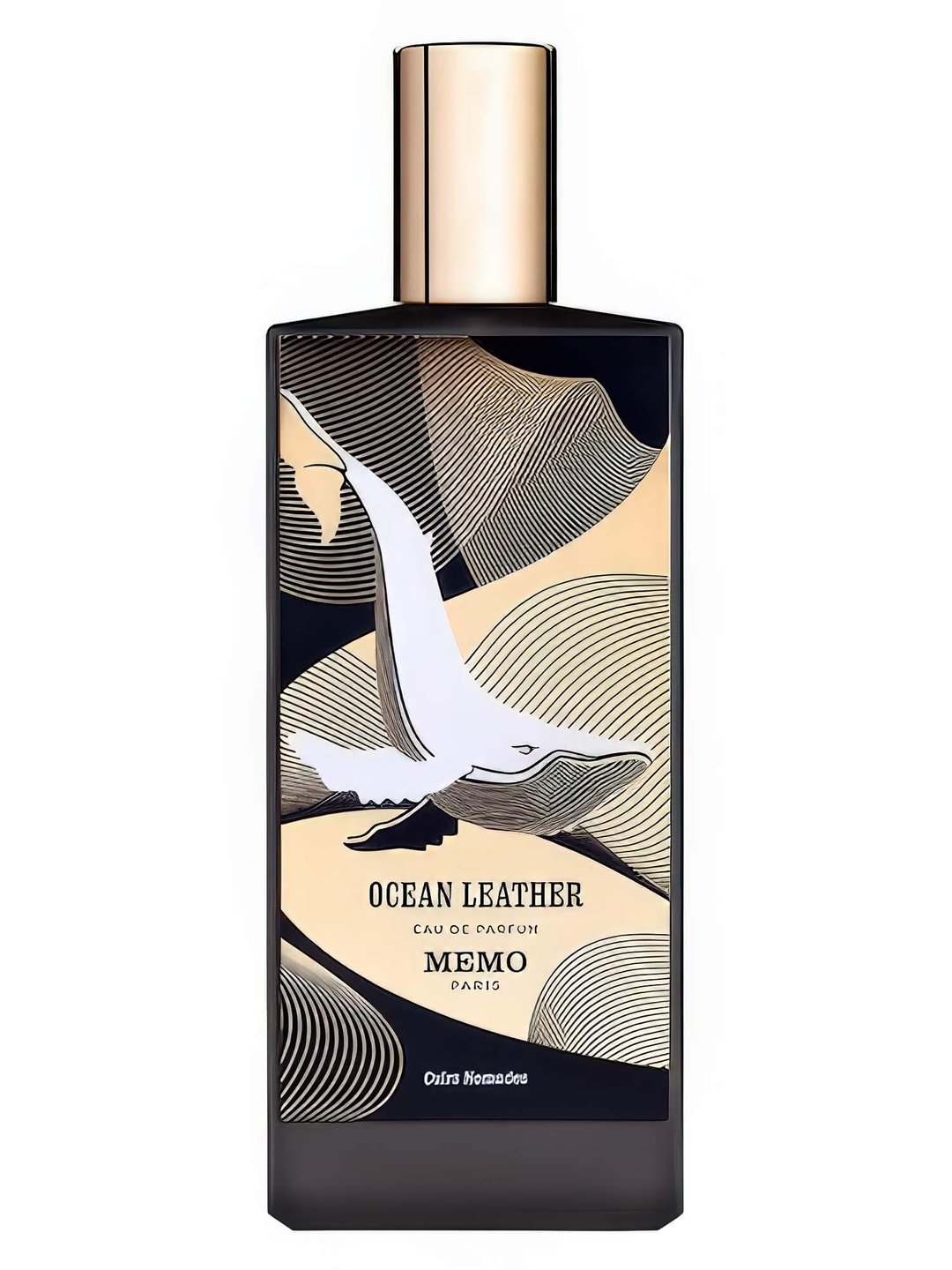 Ocean Leather by Memo Paris
