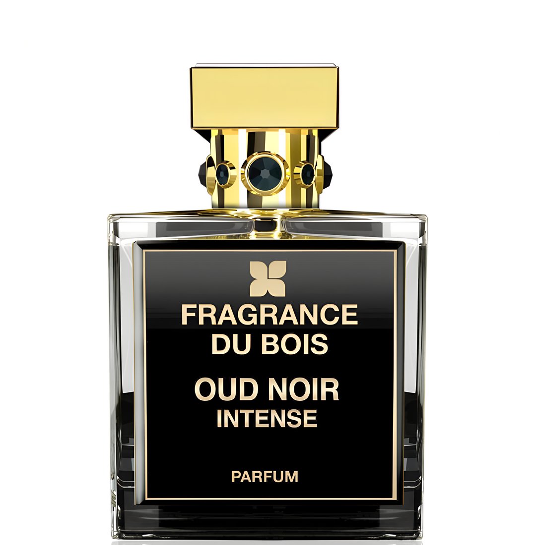 Oud Noir Intense by Fragrance Du Bois