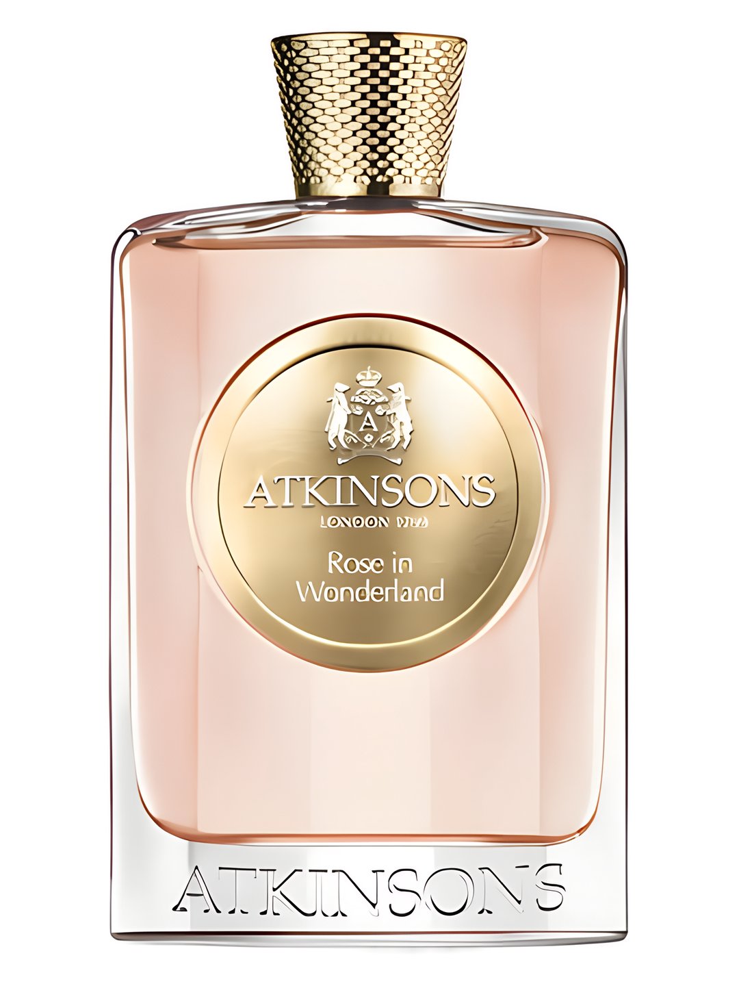 Rose in Wonderland by Atkinsons