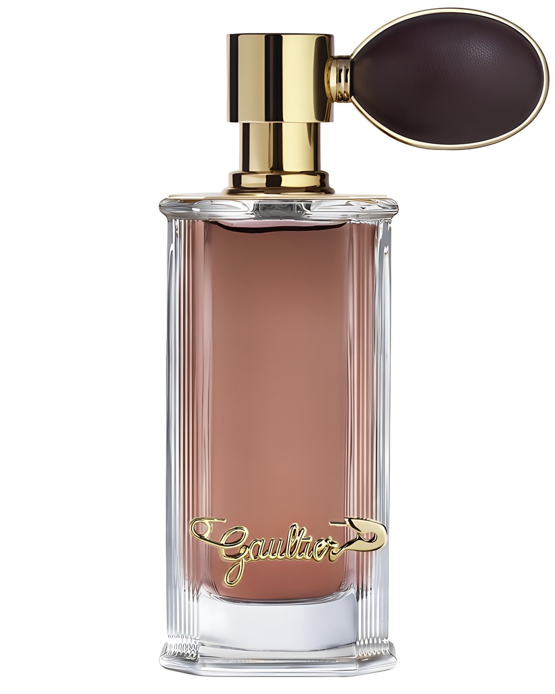 Rose Palace by Jean Paul Gaultier