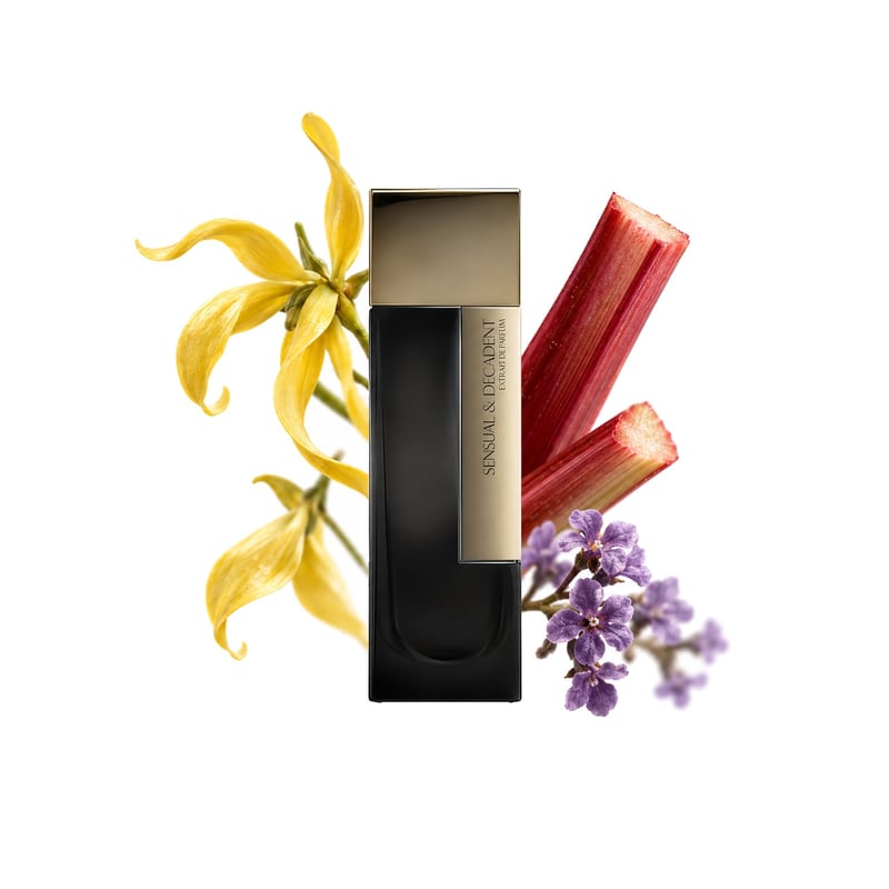 Sensual & Decadent by Laurent Mazzone Parfums, bottle pictured with its key notes: Ylang-ylang, Rhubarb and Heliotrope