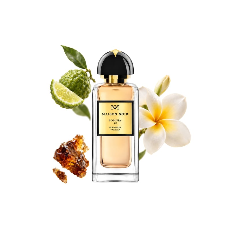Somnia by Maison Noir, bottle pictured with its key notes: Bergamot, Labdanum and Plumeria