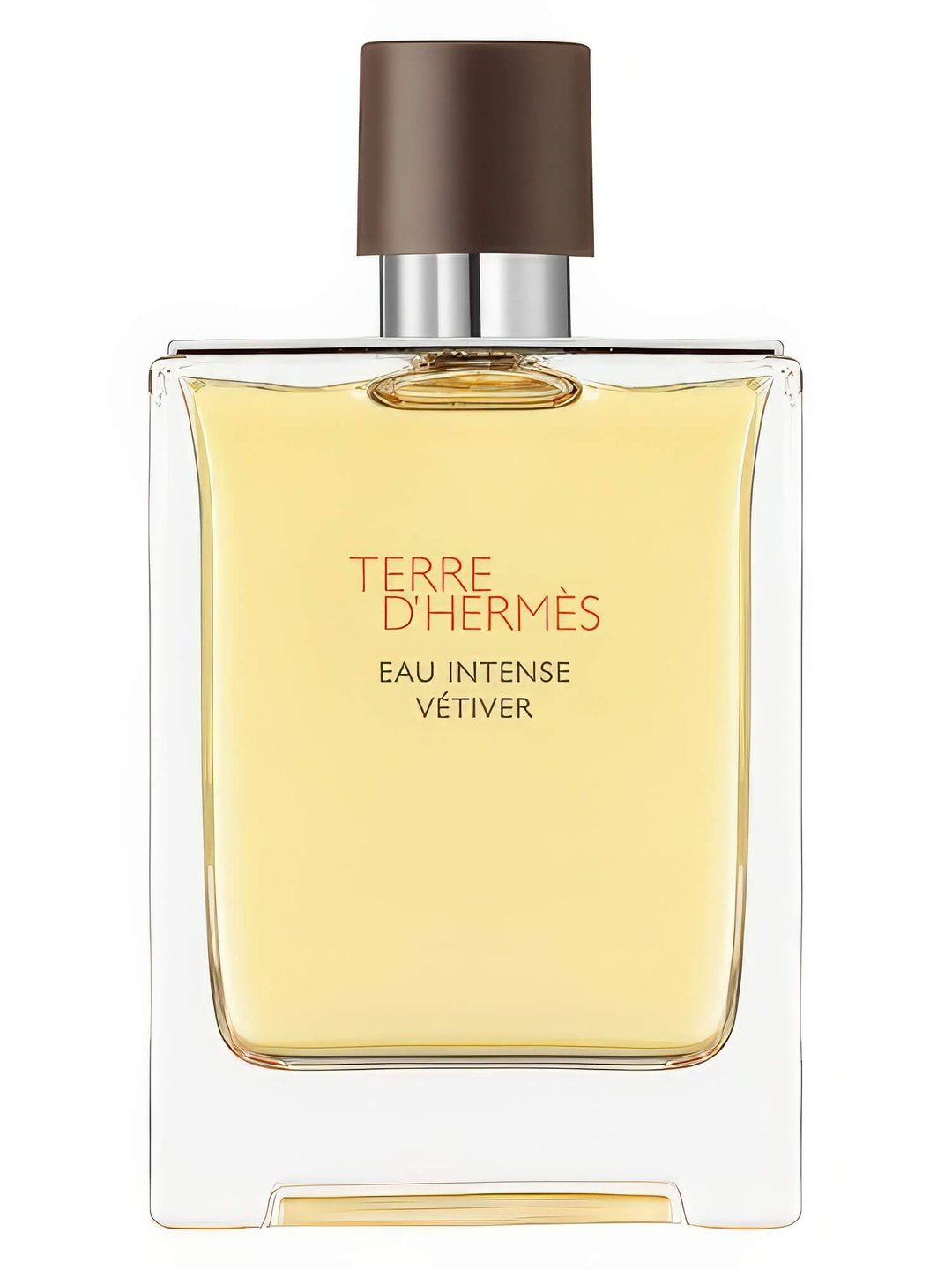 Terre D'Hermes Eau Intense Vetiver by Hermès