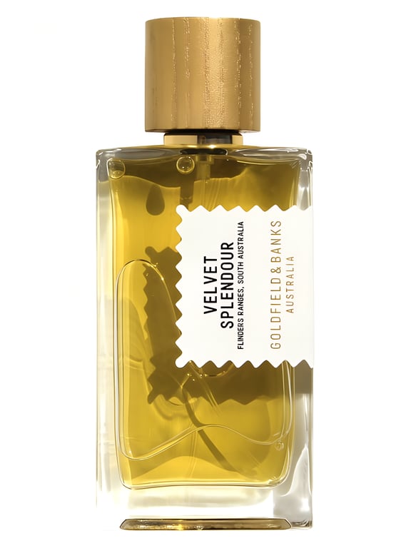 Velvet Splendour by Goldfield & Banks